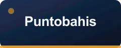 Puntobahis logosu